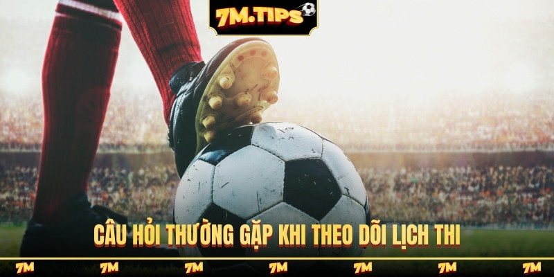 Câu hỏi thường gặp khi theo dõi lịch thi